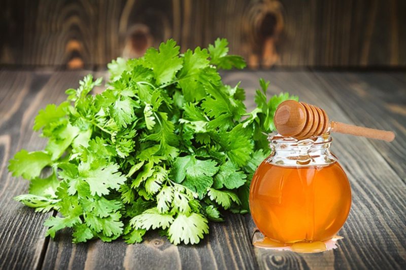 ماسک زیبایی گشنیز با عسل