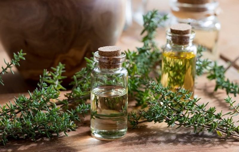 آویشن برای مقابله با نفخ معده