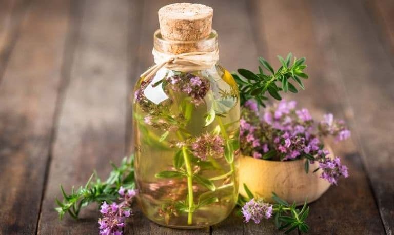 گیاه شناسی درمانی آویشن