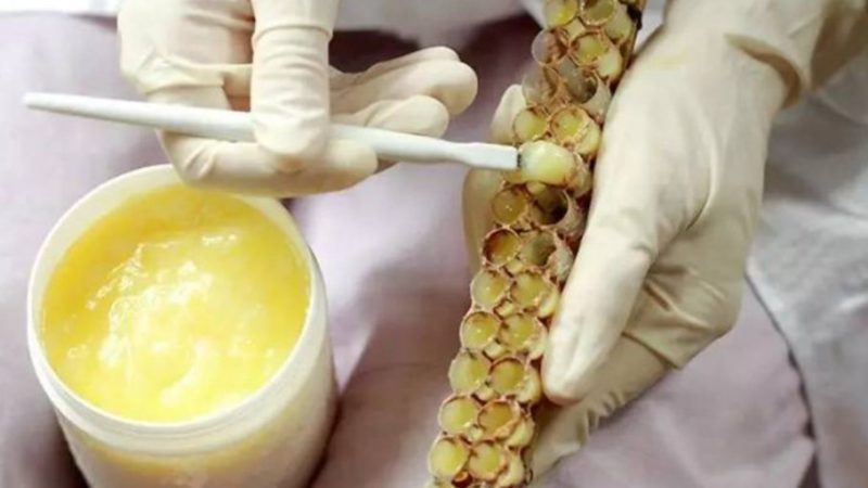 خواص فیزیکی ژل رویال