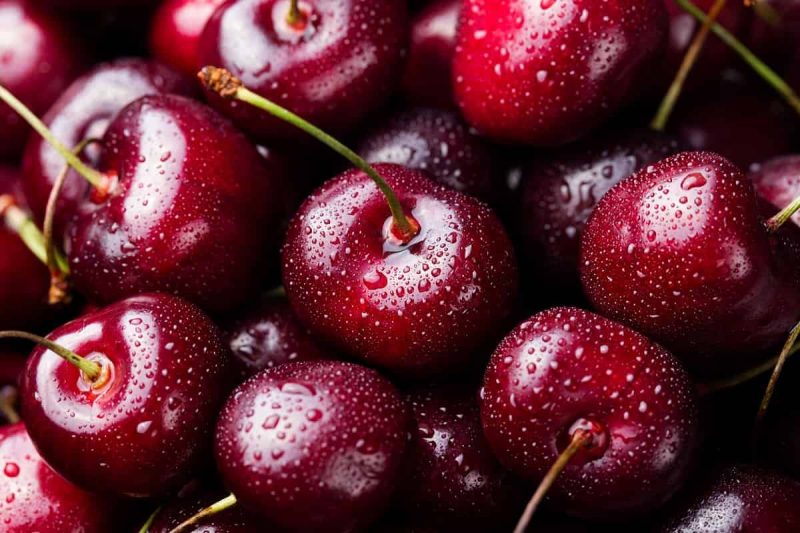 طبع آن سرد و تر است.