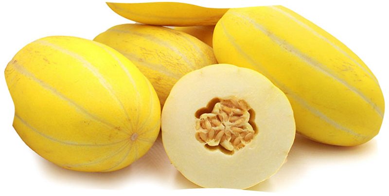 خربزه سلولهای مغز را تقویت می نماید.