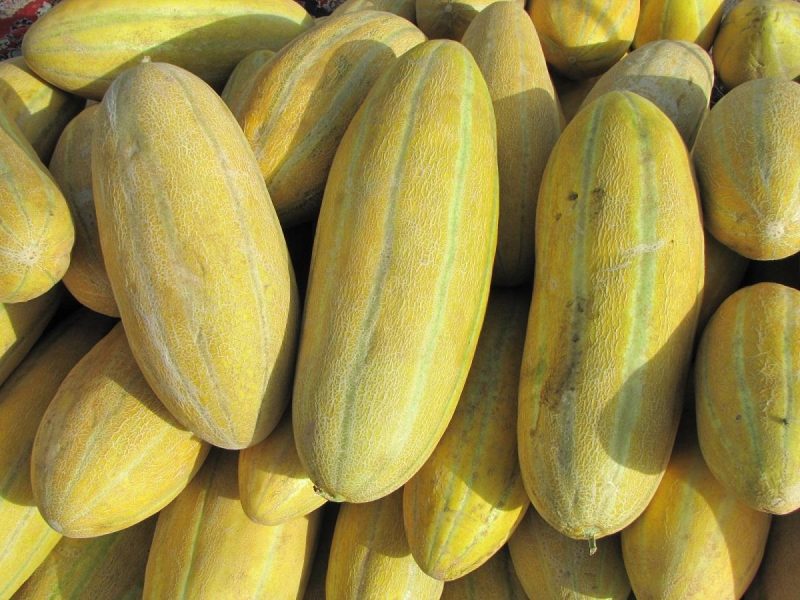 رودل را برطرف می کند.