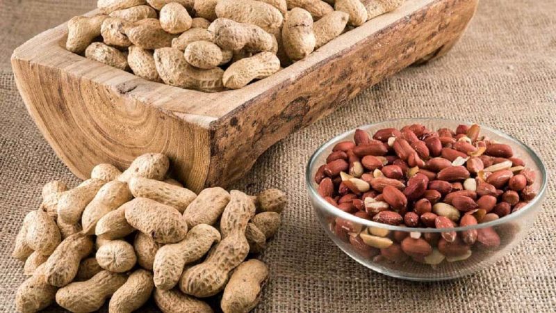 بادام زمینی ضد رطوبت معده است.