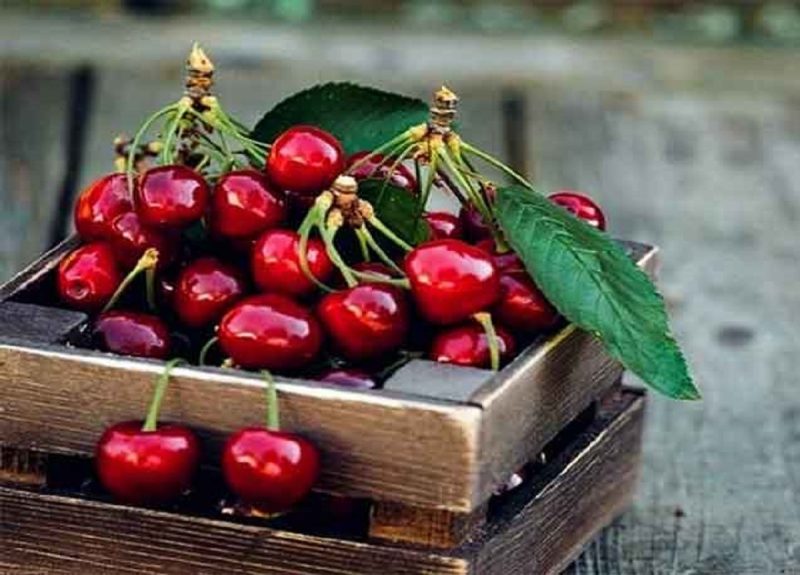 آلبالو نیرو افزا می باشد.