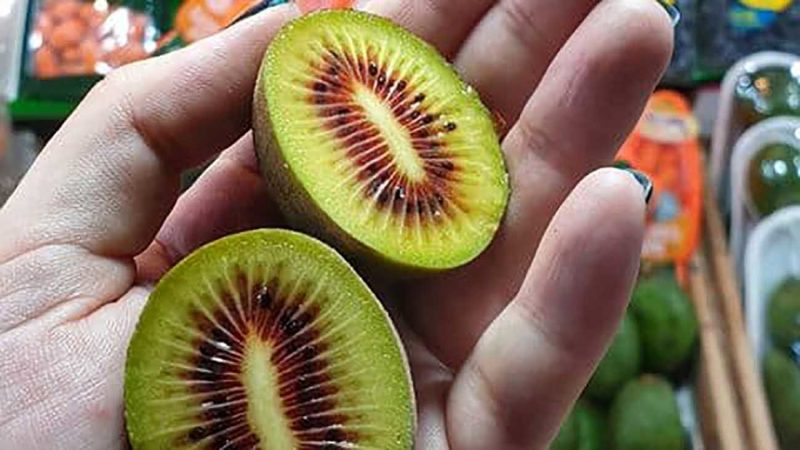 کیوی از میوه های کم کالری می باشد.