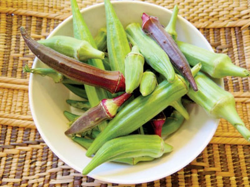 خواص و مضرات بامیه