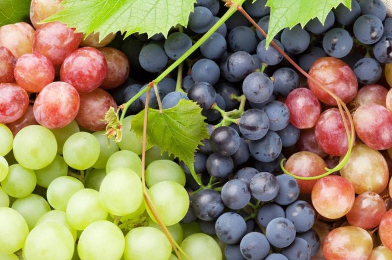 انگور یک ماده پرانرژی است.