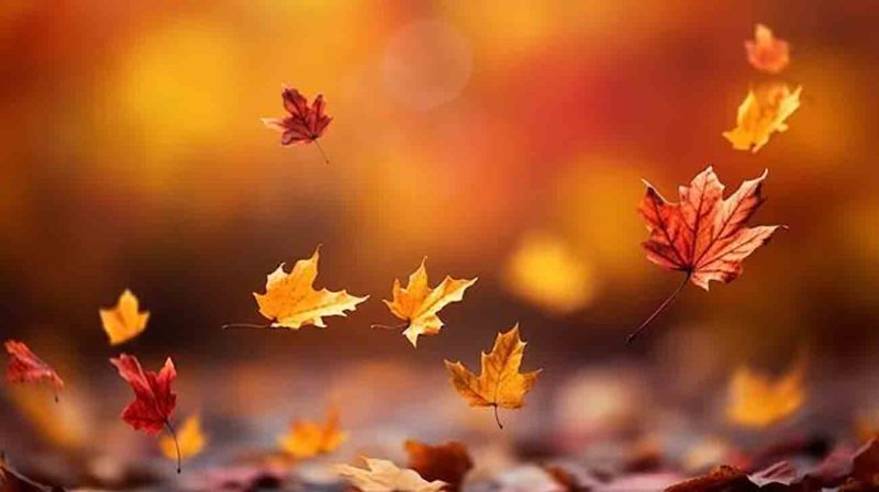 تأثیر آب و هوا بر اخلاط اربعه