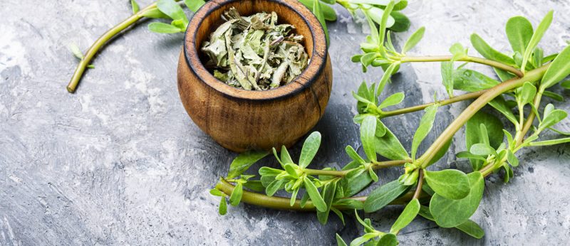 خواص و مضرات خرفه