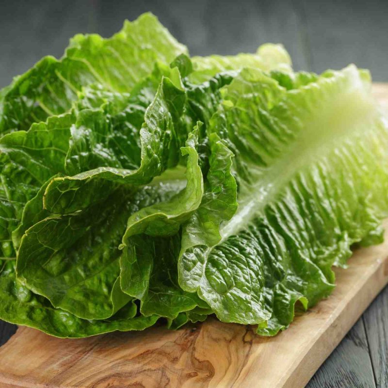 کاهو  اثر ضدتشنج دارد.