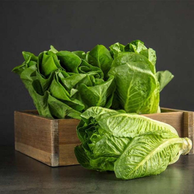 خـواص و مـضـرات کـاهـو