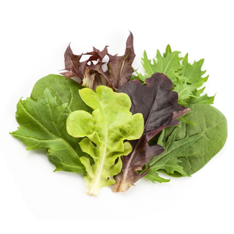 کاهو ملین و ادرار آور است.