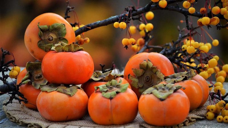 خرمالو تقویت کننده معده است.