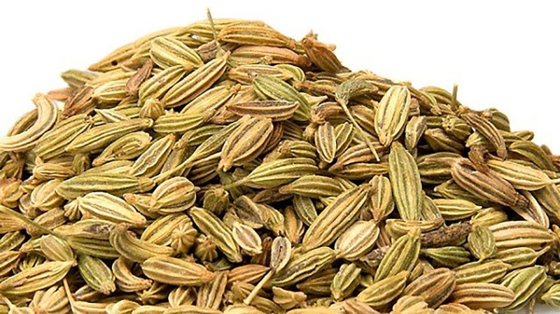 رازیانه ترشح شیر مادران را افزایش می دهد.