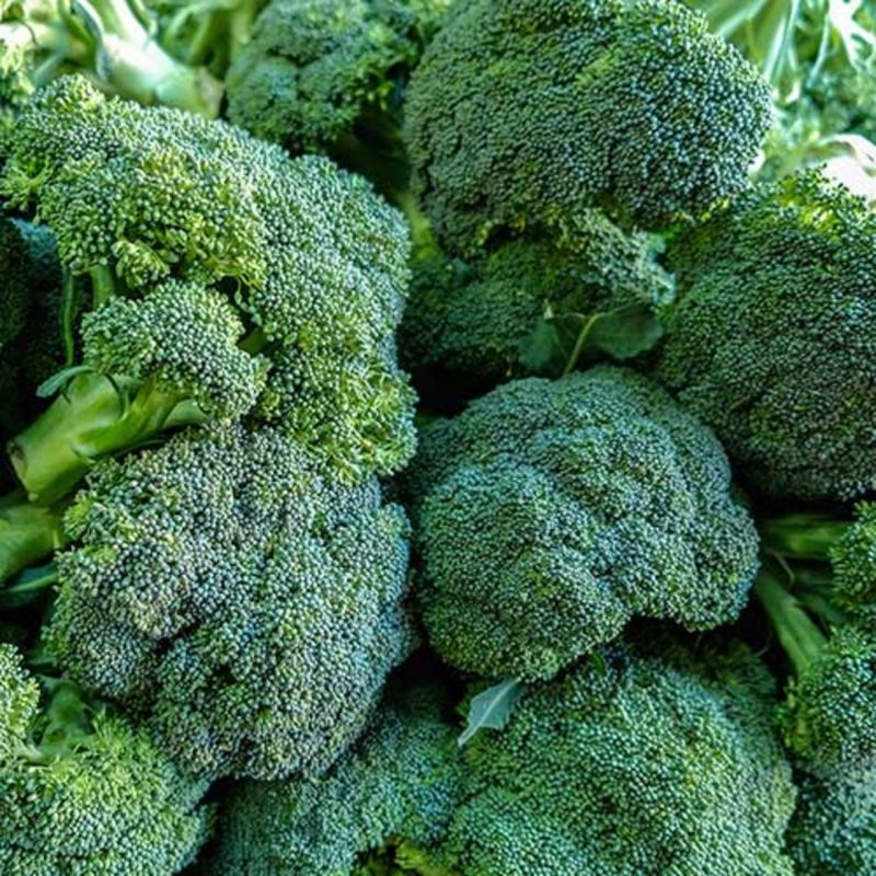 کلم بروکلی دارای طبیعتی  گرم و خشک است