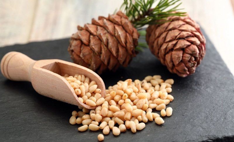 چلغوز حاوی رطوبت است و پوست را به خوبی مرطوب می کند