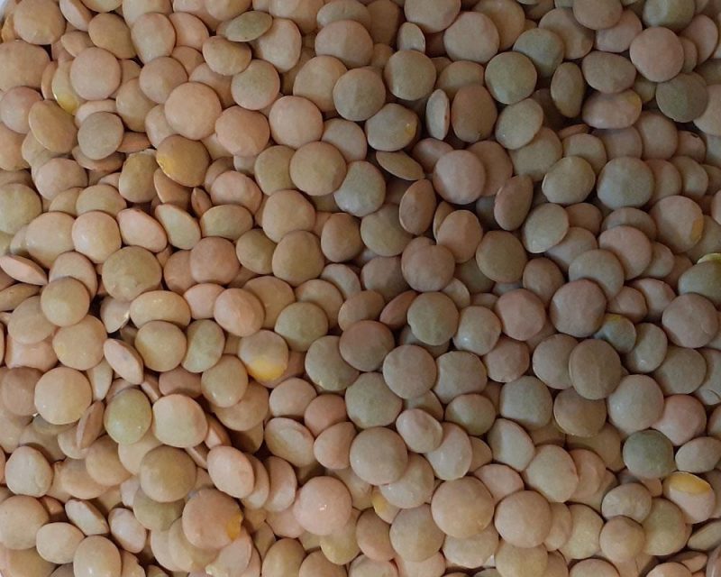 مصرف عدس برای داشتن ناخنهای سالم و قوی مفید است.