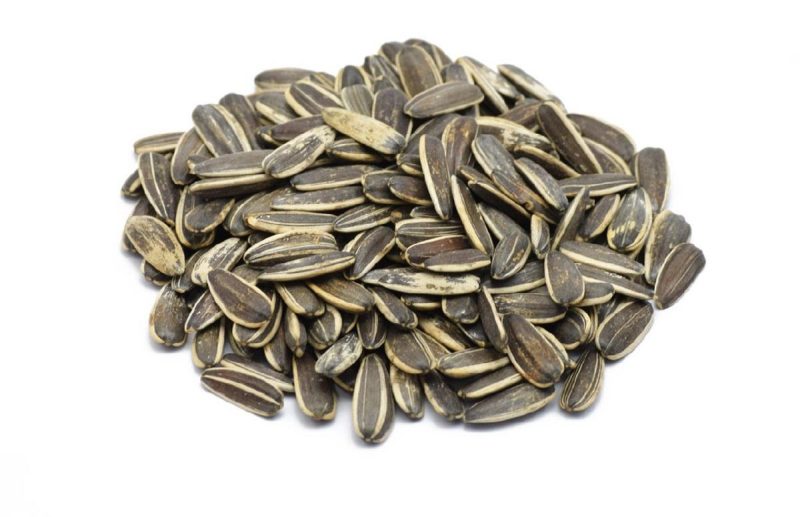 طبیعت تخمه آفتابگردان گرم و خشک است