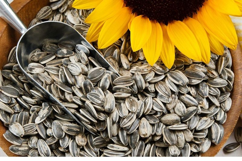 توصیه می شود همیشه از آجیل های بو ندادنده استفاده کنید