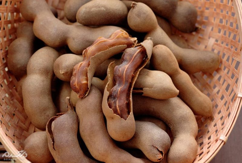 ناشتا خوردن تمر هندی مضر است