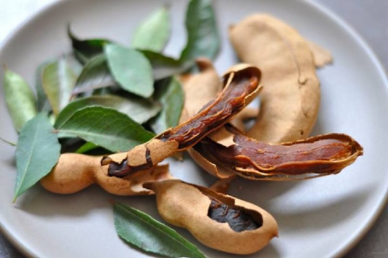 خـواص و مـضـرات تمـر هنـدی