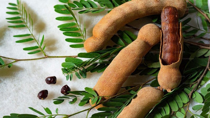 مصرف تمر هندی حالت تهوع را برطرف می کند