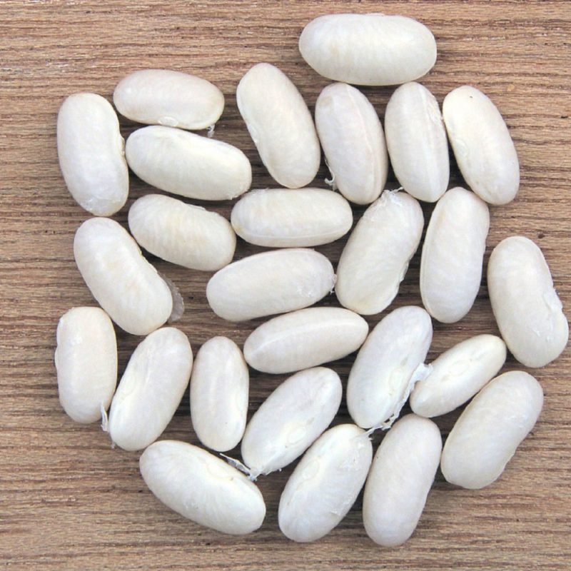 لوبیا سفید از سندرم متابولیک جلوگیری می کند.