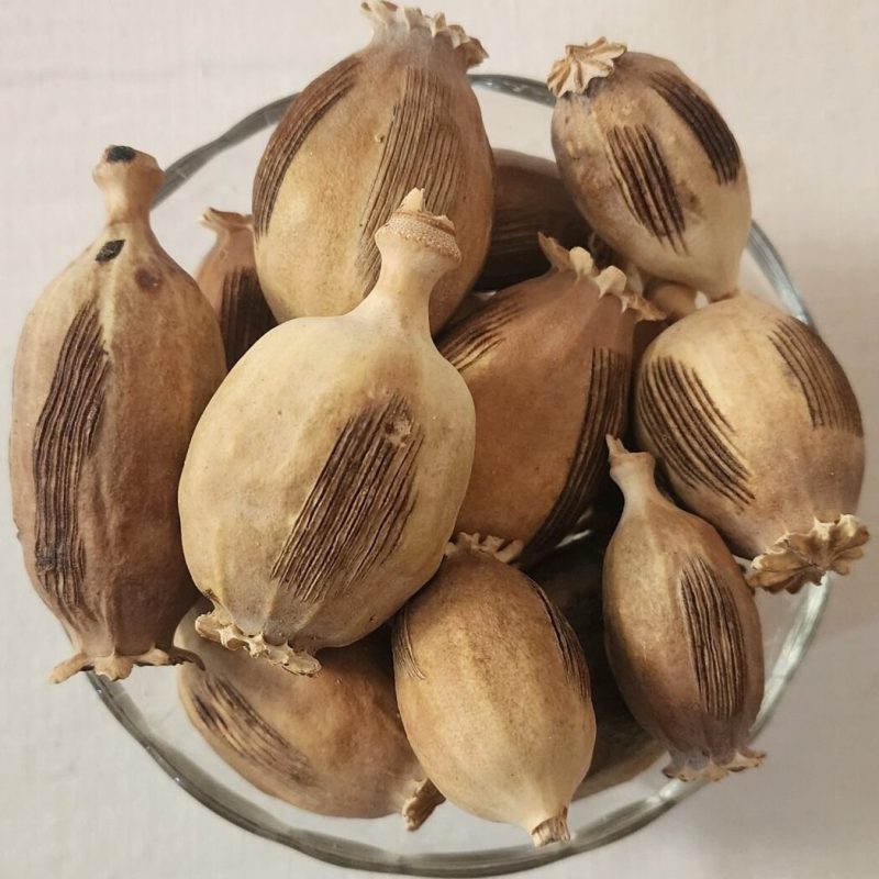 خارش و تیره شدن رنگ پوست ، تیرگی لب ها و کهیر