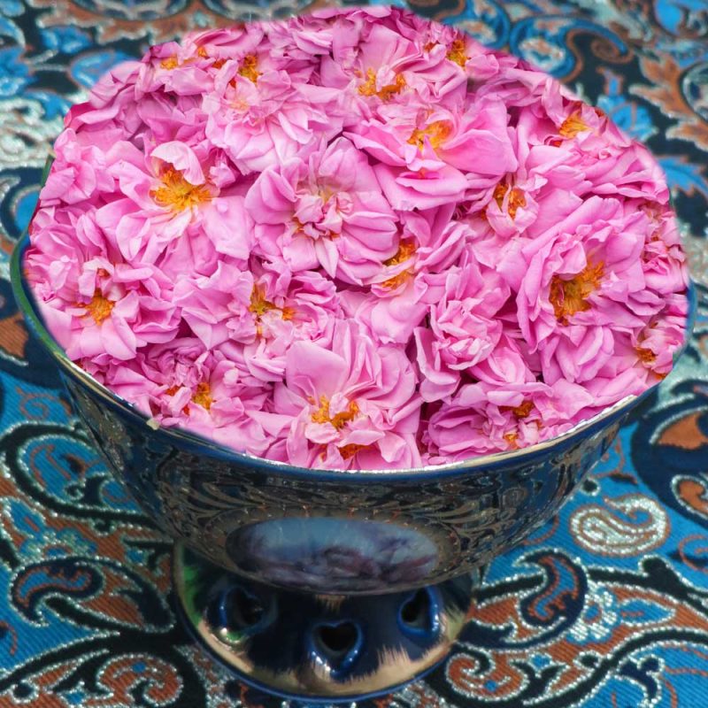 مضر برای نیروی جنسی