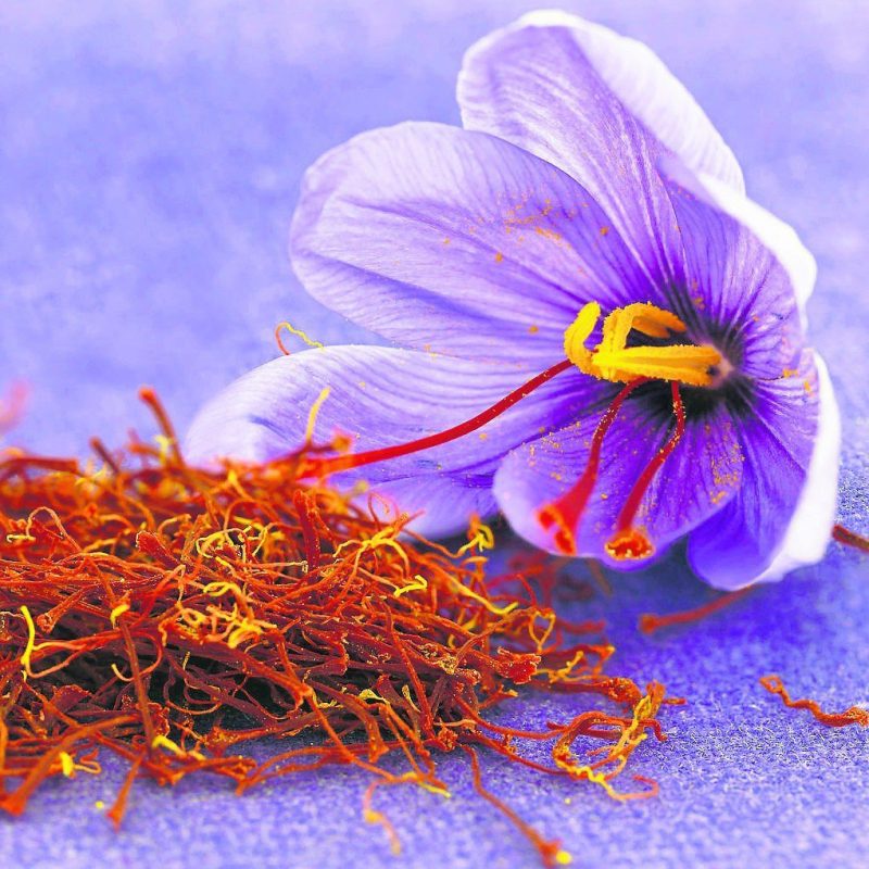 زعفران فشار خون را کاهش می دهد