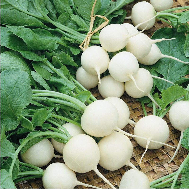 مصرف انواع ترب رنگ چهره را باز می کند