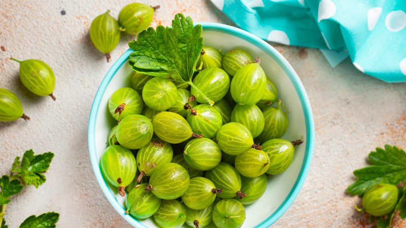 آمُله باعث افزایش هوش و ذکاوت می شود