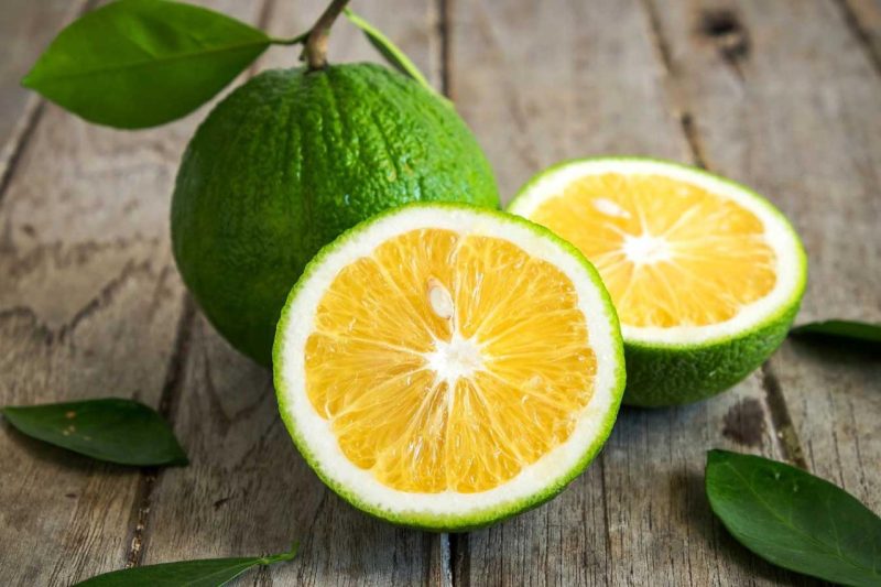 ترنج باعث افزایش توان مغز می شود