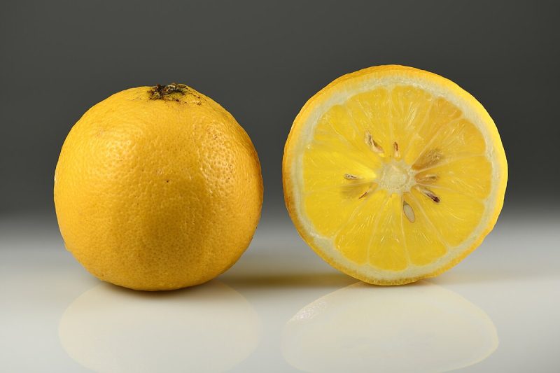 ترنج  سلامت دستگاه گوارش را بهبود می بخشد