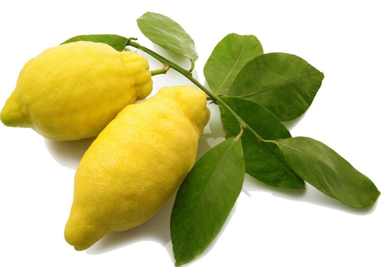 خواص و مضرات ترنج