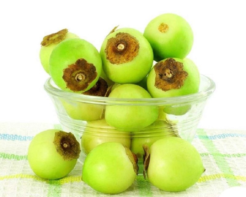 خـواص و مـضـرات گیاه سـپستـان