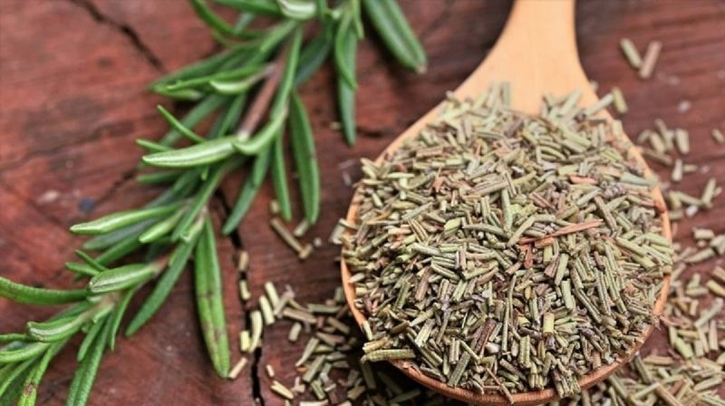 خـواص و مـضـرات رزمـاری