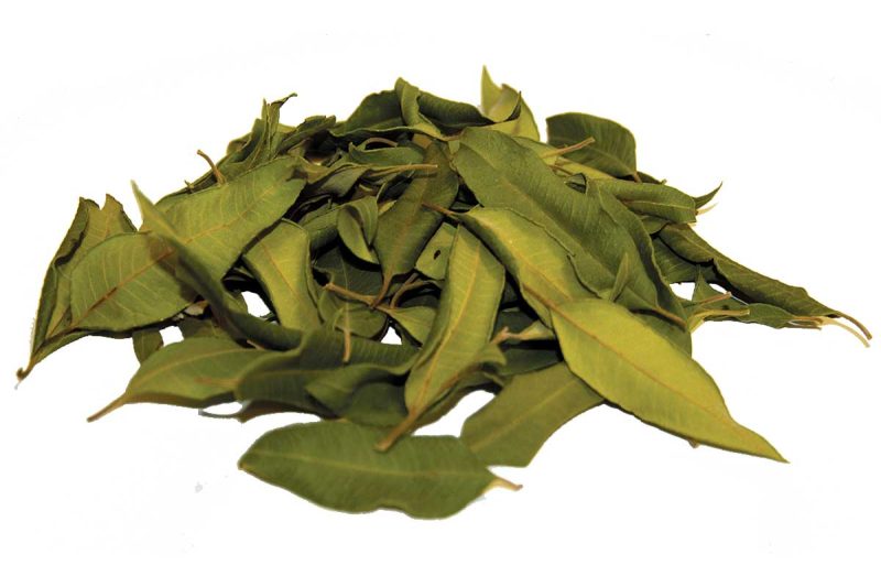 مورد ضدعفونی کننده و دافع انگل است