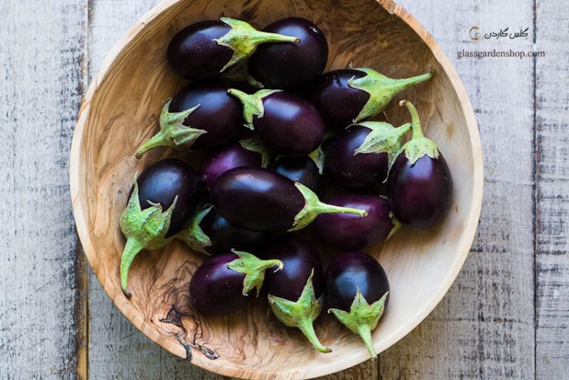 خـواص و مـضـرات بـادمجـان