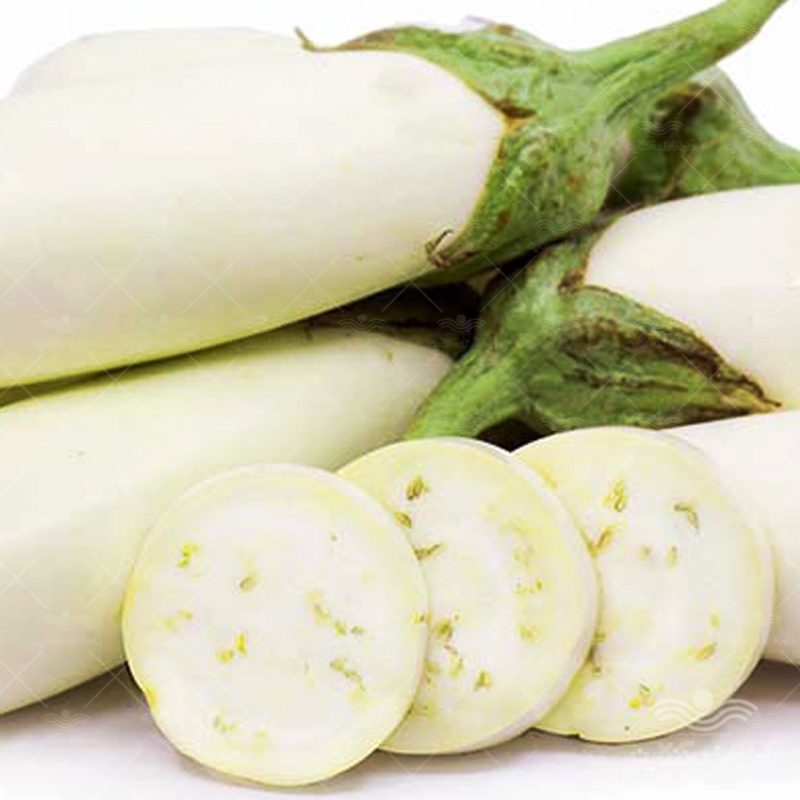 بادمجان دارای طبیعتی گرم و خشک است