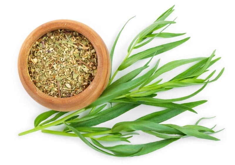 رخون دارای اثرات آرامش بخش است و برای درمان بی خوابی موثر است (بهتر از از دمنوش ترخون استفاده شود.)