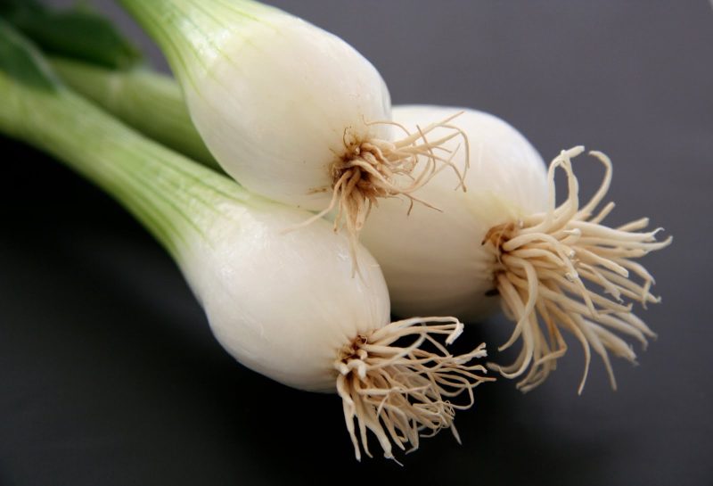 پیازچه دارای طبیعتی گرم و تر است