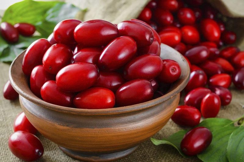 زغال اخته دارای طبیعتی کمی سرد و خشک است