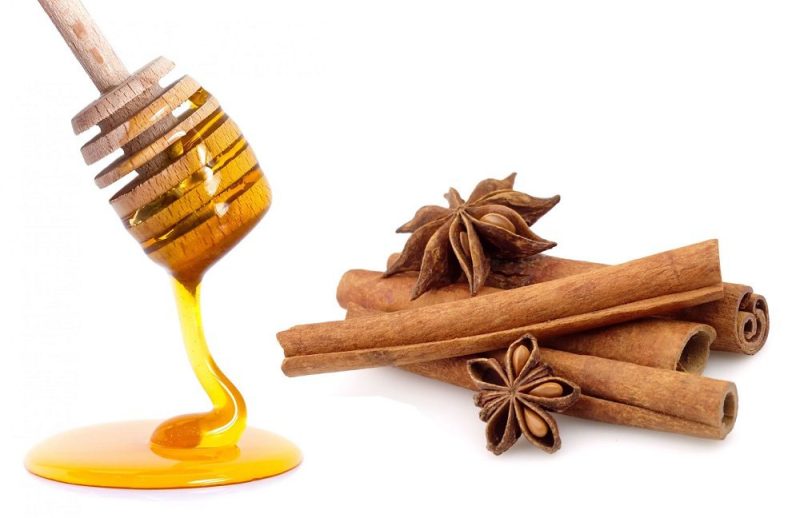 تهیه نوشیدنی عسل و دارچین برای بهبود در