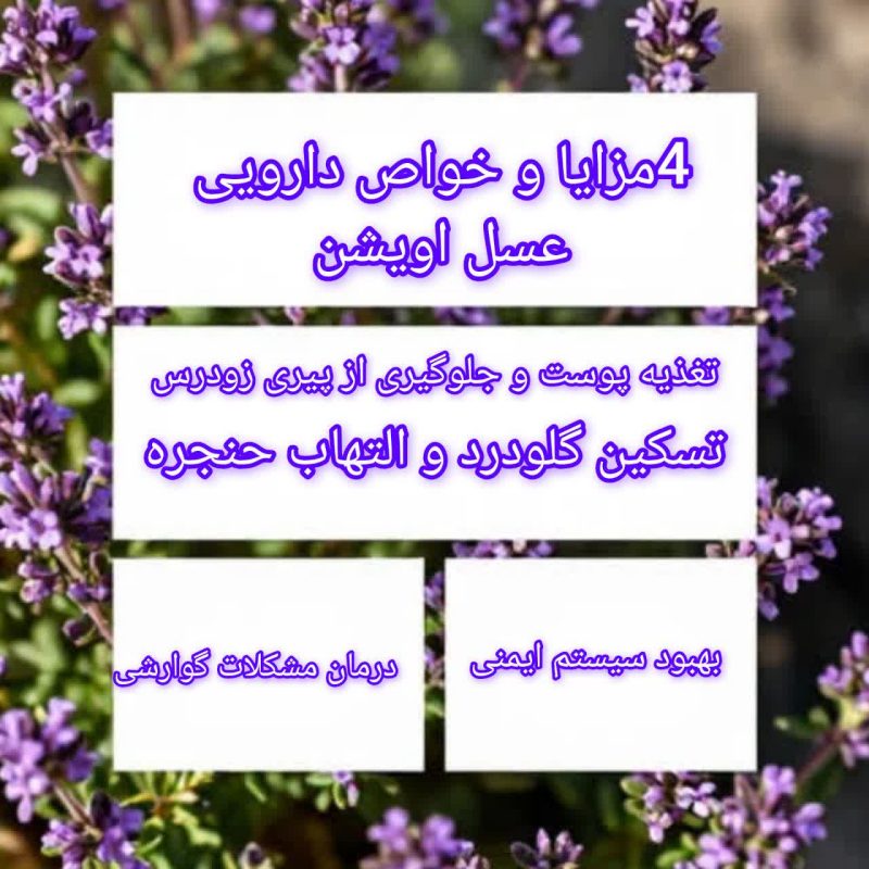 آویشن و خواص شگفت‌انگیز آن برای سلامتی